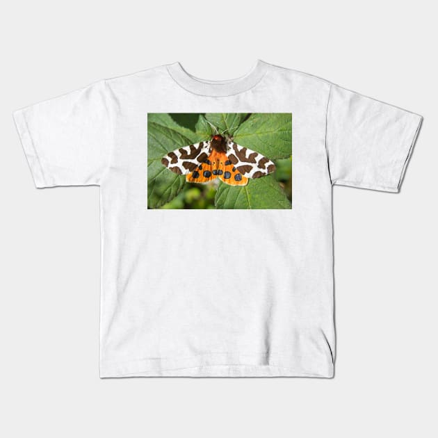 Garden Tiger Moth Photo Kids T-Shirt by CreativeNatureM